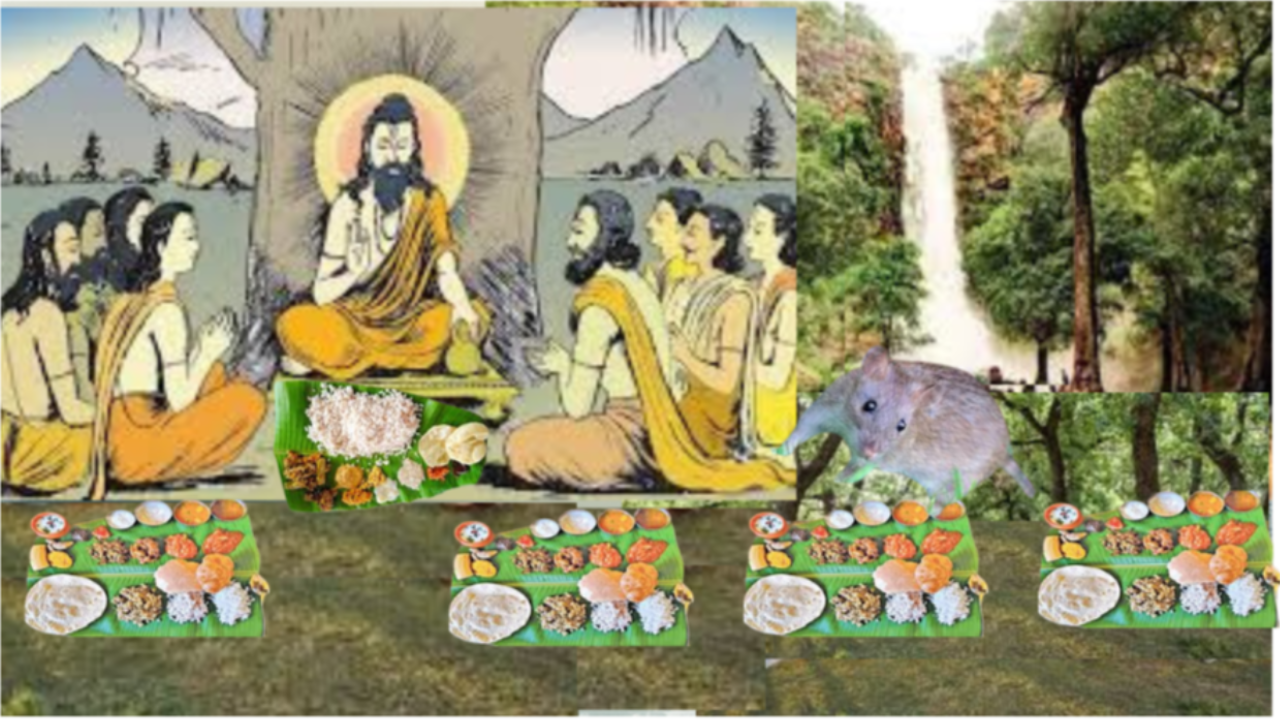 viswa